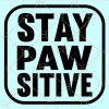 Stay pawsitive svg