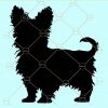 Yorkshire terrier svg