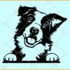 Border Collie svg