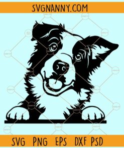 Border Collie svg