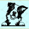 Peeking border Collie svg file
