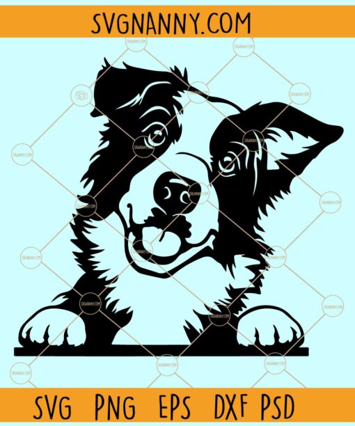 Peeking border Collie svg file