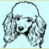 Poodle dog svg