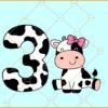 Cowgirl third birthday SVG, Cowgirl birthday svg, 3rd birthday svg