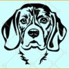 Beagle dog breed SVG, Beagle dog SVG, Beagle Illustration svg, Beagle Drawing SVG