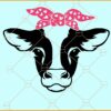 Cow Valentine SVG, Valentines Svg, Valentines Day Svg, Cow Svg, Farmhouse Svg
