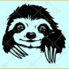 Cute Sloth SVG, Sloth svg, Peeking Sloth svg, Sloth svg, Sloth clipart svg