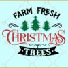 Farm fresh Christmas trees SVG, Christmas trees svg, Candy cane svg