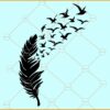 Feather Birds SVG, Birds Flying SVG, Bird Svg, Feather SVG, Feather and Flying Birds Svg