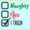 Naughty Nice I Tried Grinch SVG, Christmas svg, Christmas saying svg, Christmas sign svg