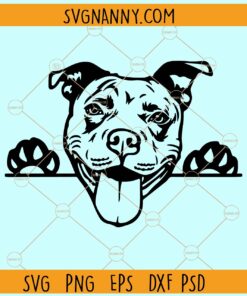 Peeking Pitbull SVG, Pitbull Face svg, Pitbull SVG, Pitbull clipart svg