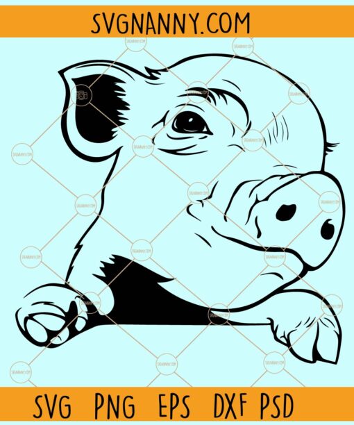 Peeking baby pig SVG, Pig Face svg, Piggy SVG, Piggy clipart svg