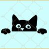 Peeking cat SVG, Cat Head Svg, Cat Svg, Kitten Svg, Cat Clipart svg, Peeking cat silhouette svg