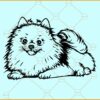 Pomeranian dog SVG, Pomeranian SVG, Pomeranian clipart svg, Pomeranian dog Svg