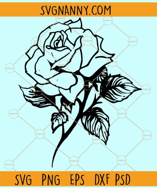 Single Rose  Flower SVG, Rose blossom SVG, Flower svg, Single Rose Svg