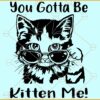 You Gotta Be Kitten Me SVG, Cat Svg, Funny Cat Svg, Cat Quotes Svg, Kitten Svg