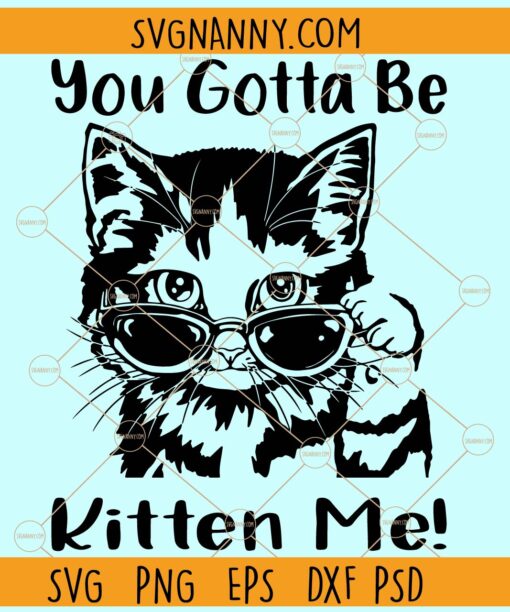 You Gotta Be Kitten Me SVG, Cat Svg, Funny Cat Svg, Cat Quotes Svg, Kitten Svg