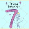 7th Birthday ballet svg, seventh Ballerina birthday svg, Ballerina birthday svg, Ballerina birthday svg