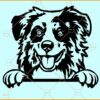 ustralian Shepherd Peeking SVG, Aussie SVG, Shepherd Svg, Peeking Dog Face Svg