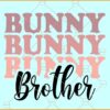 Bunny Brother svg, Funny Easter svg, Easter bunny svg, Easter svg, Easter sign svg