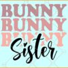 Bunny sister svg, Funny Easter svg, Easter bunny svg, Easter svg