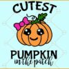 Cutest Pumpkin in the patch svg, Girl  Pumpkin Svg, Girl Halloween Svg, Kids Thanksgiving Svg