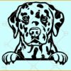 Dalmatian peeking SVG, Dalmatian SVG, Dalmatian Spots SVG, Dalmatian face svg, Dalmatian files for cricut