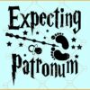 Expecting Patronum SVG, Expecto Patronum SVG File, Expecting a baby Svg, Wizard Svg