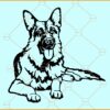 German Shepherd SVG file, German Shepherd SVG, German Shepard Illustration svg
