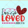 I am so loved John 316 SVG, Buffalo plaid heart svg, Valentine’s Day SVG, John 3:16 svg