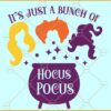 It's Just a Bunch of Hocus Pocus, Hocus Pocus SVG, Sanderson Svg