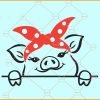 Peek a boo pig SVG, Peeking Baby Pig SVG, Pig Peekaboo SVG