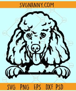 Peeking Poodle SVG, Peeking Poodle Clipart svg, Peeking Poodle Svg Files, Poodle Peeking SVG