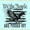 We the people are pissed off svg, Eagle flag svg, We the people svg, Merica svg