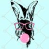 Bunny sunglasses svg, Bunny with bubblegum svg, Easter bunny svg, Sunglasses Bunny svg