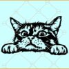 Cat peeking SVG, Peeking Kitten svg, Cat svg, Cat clipart svg, Cute cat svg