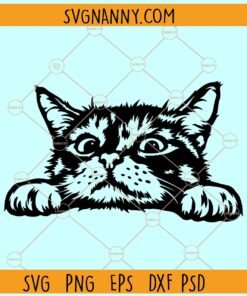 Cat peeking SVG, Peeking Kitten svg, Cat svg, Cat clipart svg, Cute cat svg