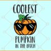 Coolest pumpkin in the patch SVG, Boys Halloween Svg, Thanksgiving svg