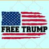 Free Trump flag SVG, trump flag svg, trump 2024 flag svg, trump svg, Free Donald Trump Svg
