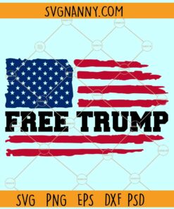 Free Trump flag SVG, trump flag svg, trump 2024 flag svg, trump svg, Free Donald Trump Svg