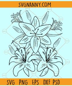 Lilly flower svg, Flower clipart svg, Lilly svg, Floral svg, Lily Flower Svg, Flower bouquet Svg