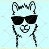 Llama with sunglasses svg, Llama Aviator Sunglasses SVG, Llama SVG, Alpaca Svg