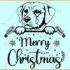Merry christmas Peeking dog svg, dog with santa hat svg, dog Christmas svg