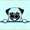 Peeking pug dog svg, Pug dog svg file, Pug Svg, Pug Clipart svg, Dog Svg