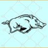 Arkansas Razorbacks SVG, Razorbacks Football Team Svg, Razorbacks SVG