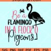 Be a flamingo in a Flock of pigeons svg, Flamingo clipart svg,, Summer Svg
