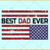 Best dad ever grunge US Flag svg, American Dad svg, Us Flag svg, Best Dad svg