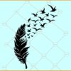 Birds of a feather svg, Feather Svg, Feather and Flying Birds Svg, Feather Birds SVG