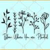 Bloom where you are planted svg, Wildflower SVG, inspirational svg, Wildflower quote SVG