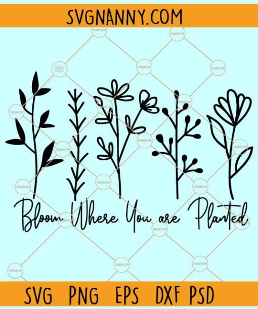 Bloom where you are planted svg, Wildflower SVG, inspirational svg, Wildflower quote SVG